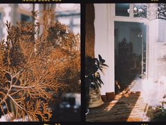 -烟台山景区