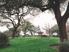 -杭州西湖柳莺里酒店