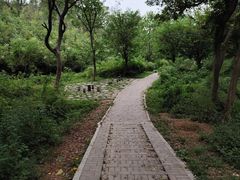 -青龙山国家森林公园