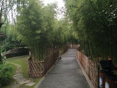 -陈家山荷花公园