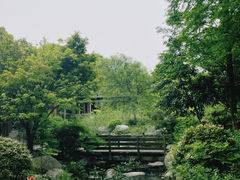 -宝界山林公园