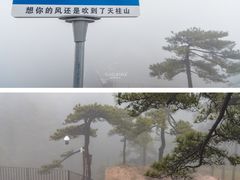 -天柱山风景区