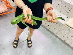 -Moni星球萌宠·小马宝莉·灵蛇·高端高阶全萌宠互动体验俱乐部(红豆国际广场店)