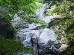 -王顺山国家森林公园