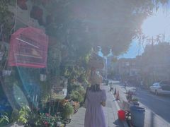 -溪岸路花鸟市场