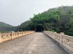 -李小龙乐园(顺德均安店)