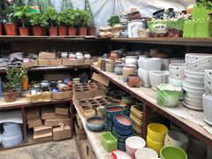 -秦美花卉(天朗·莱茵小城2期店)