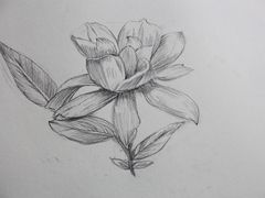 -鼎画艺术机构(贵都店)