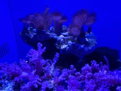 -青岛海底世界-水族馆