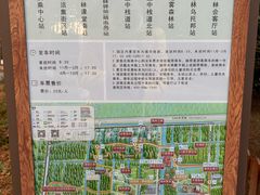 -黄海国家森林公园