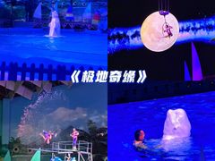 -海合安武汉极地海洋公园