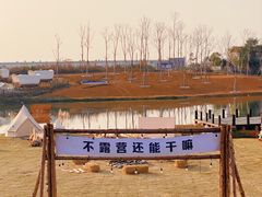 -空港花田景区