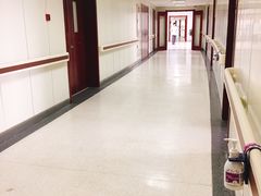 -上海中医药大学附属曙光医院(东部)