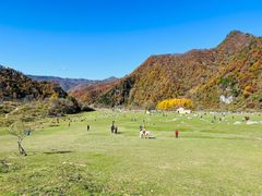 -狮子沟牧场