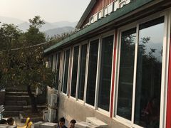 -闻道食府烙饼卷带鱼(原车耳营店原大觉寺店)