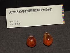 -中国江南水乡文化博物馆