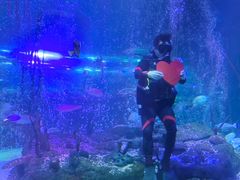 -沈阳海洋探索中心