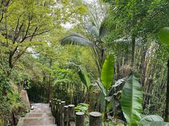 -乐山大佛风景名胜区乌尤寺南门-售票点