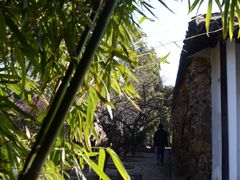 -无锡梅园公园