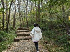 -青龙山风景区