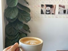 -纽巷咖啡 SOFTFOCUS COFFEE(锦和巴黎时韵店)