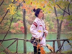 -龙道沟景区