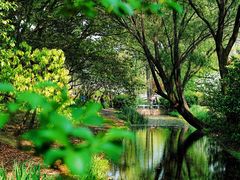 -上海共青森林公园