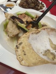 -曼格纳婚礼艺术中心(张江店)