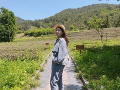 -浙江农林大学(东湖校区)