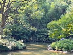 -杭州植物园