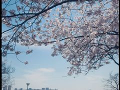 -蠡湖中央公园
