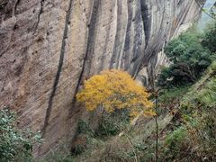 -武夷山风景名胜区-虎啸岩
