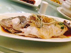 iphone_upload_pic-天津水游城丽筠酒店