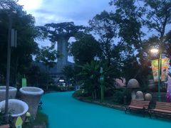 -苏州乐园森林水世界