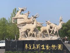 -秦皇岛野生动物园