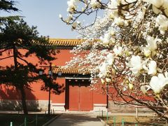 -北京市劳动人民文化宫(太庙)