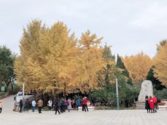 -北京水岸山吧度假村(雁栖镇店)