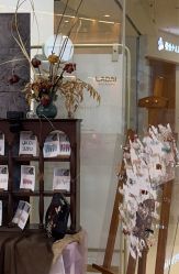 -鲸彩·美甲美睫科技护肤