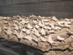 -景德镇中国陶瓷博物馆