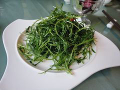 凉拌苦菊-天厨妙香素食餐厅(清华店)