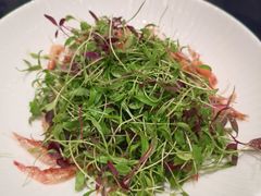 樱花虾蔬菜苗-高佳庄·海鲜酒楼(定海店)