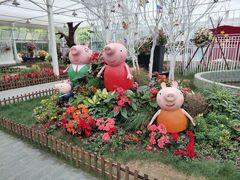 -上海鲜花港