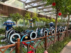 -南宫五洲植物乐园