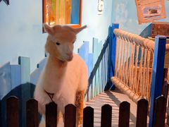 -常州海昌海洋探索馆