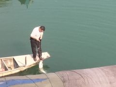 -千岛湖港湾鱼庄