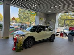 -上海浦东smart汽车全功能店(金桥店)