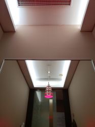 -史云逊养发护发