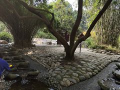 -成都市活水公园