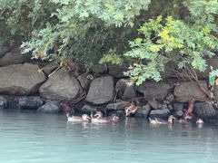 -清远鱼水旅游风景度假区