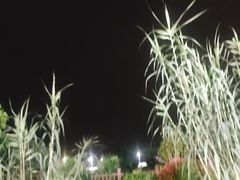 -万景饭店·鱼街农家菜